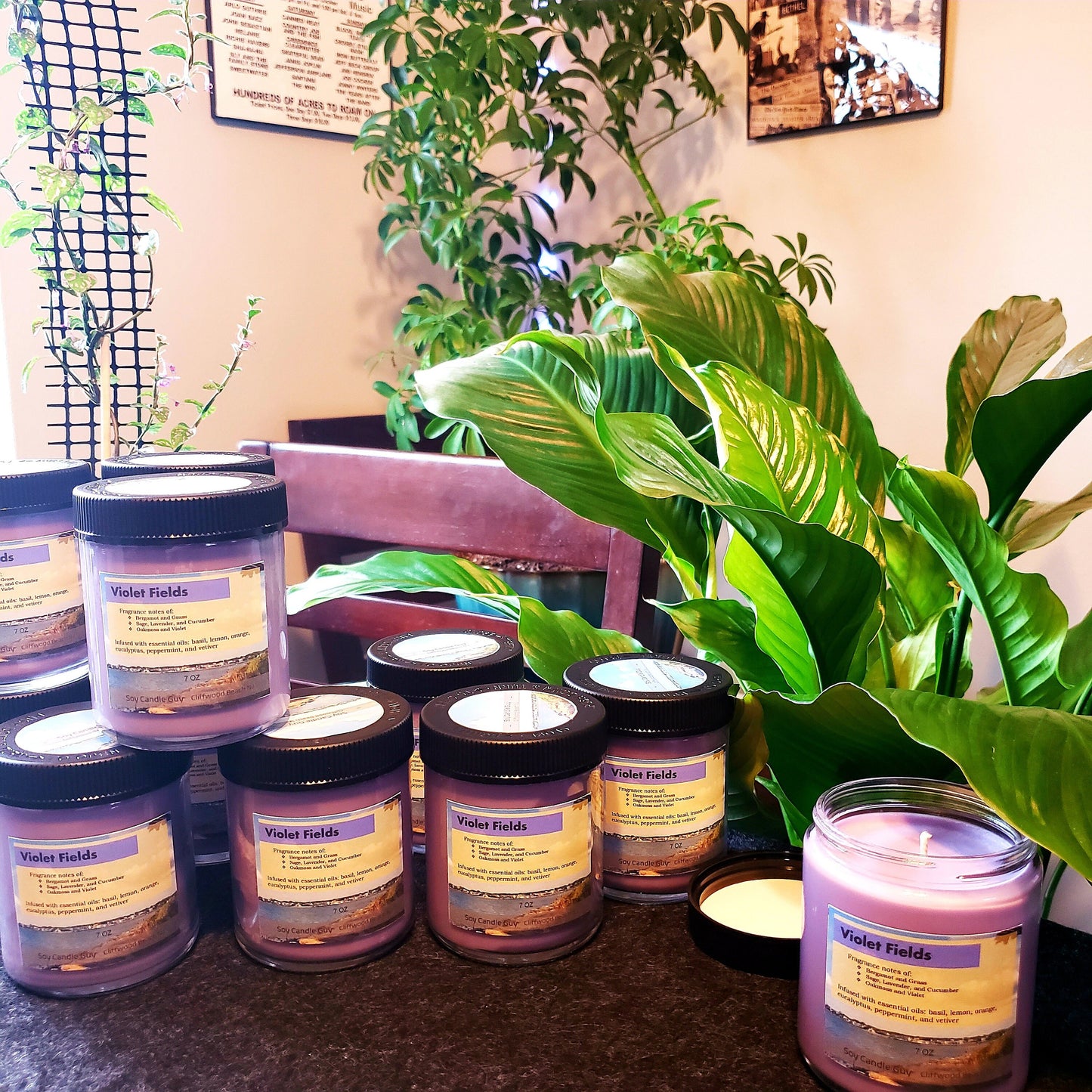Violet Fields - Soy Candle