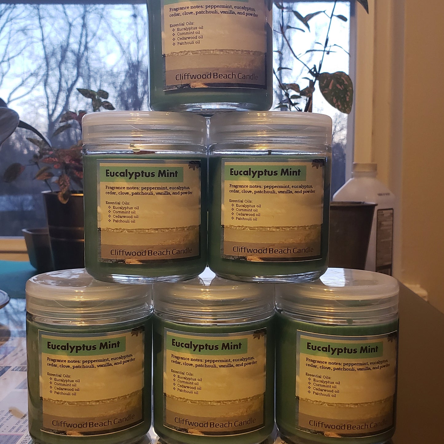 Eucalyptus Mint - Soy Candle