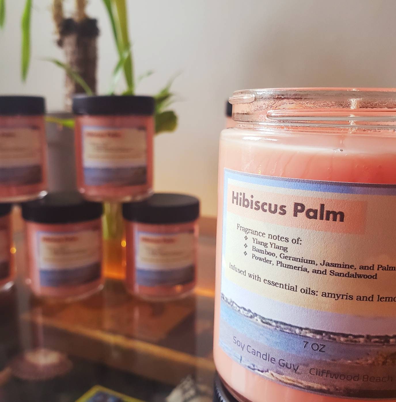 Hibiscus Palm - Soy Candle