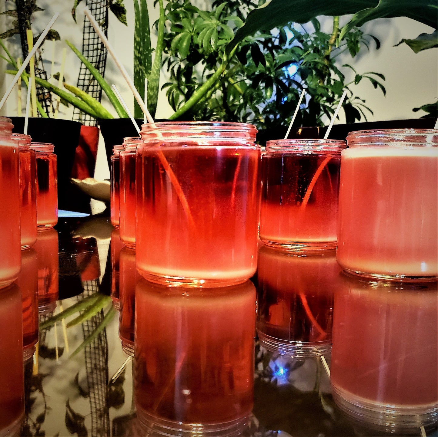 Hibiscus Palm - Soy Candle