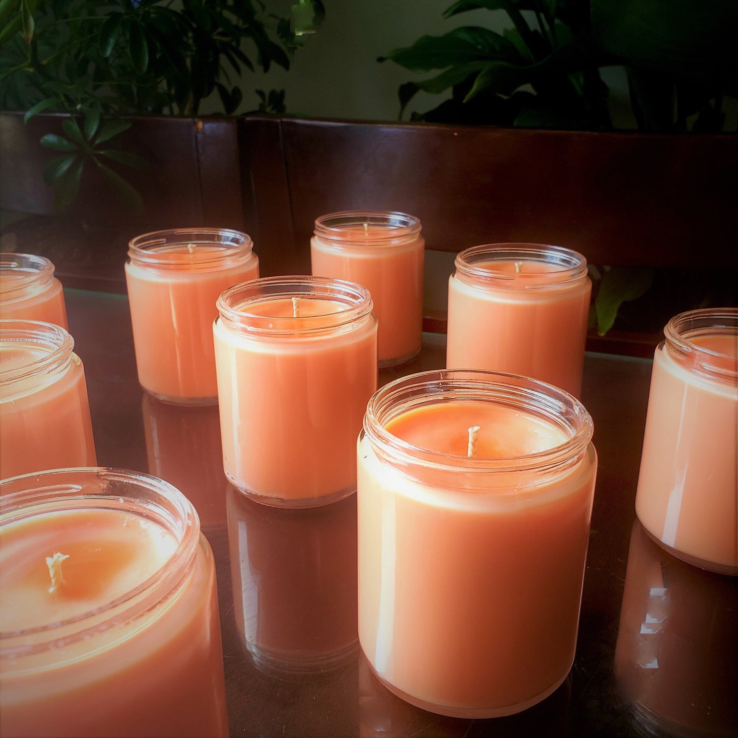 Hibiscus Palm - Soy Candle